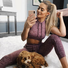Load image into Gallery viewer, 2 pcs/set Women Yoga Sets Quick Dry Tracksuit Running Sports Suit Female Fitness Bra Elastic Workout Leggings Gym Clothing
